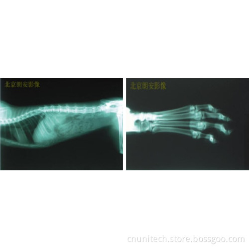 2.0kw 2.4kw Vet Portable High- Frequency X-ray Machine